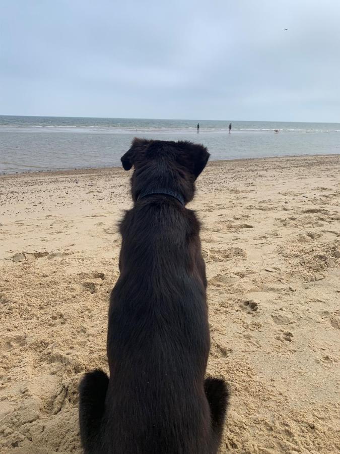 Belton with Browston Norfolk Caravan Staycation Pet Friendly מראה חיצוני תמונה