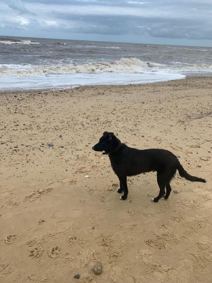 Belton with Browston Norfolk Caravan Staycation Pet Friendly מראה חיצוני תמונה